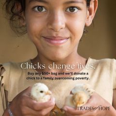 Chick donations
