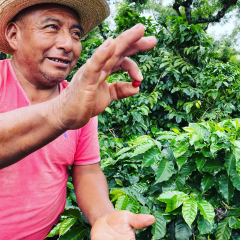 Guatemalan Coffee Farmer,  Luis.
