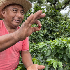 Luis, showing a coffee cherry
