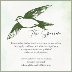 The Sparrow - graphic