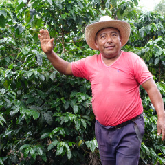 Farmer Luis  in Guatemala