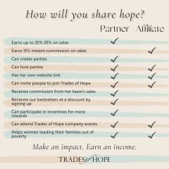 Partner  Affiliate comparison graphic