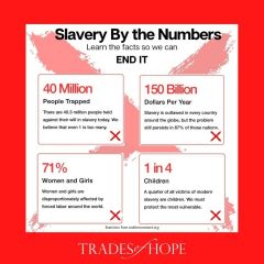 End It Slavery Stats